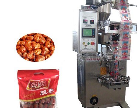 dates packing machine